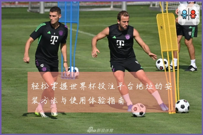 轻松掌握世界杯投注平台地址的安装方法与使用体验指南
