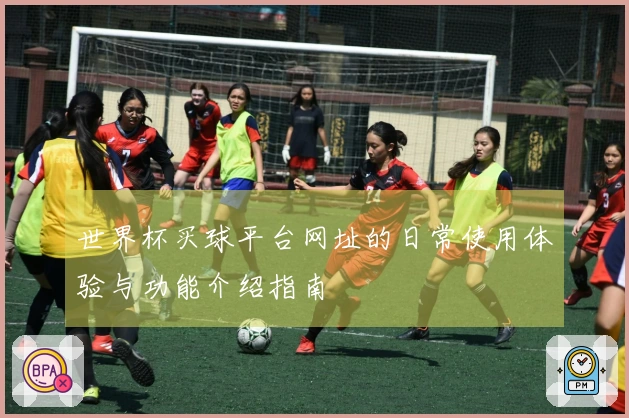 世界杯买球平台网址的日常使用体验与功能介绍指南