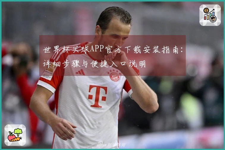 世界杯买球APP官方下载安装指南:详细步骤与便捷入口说明
