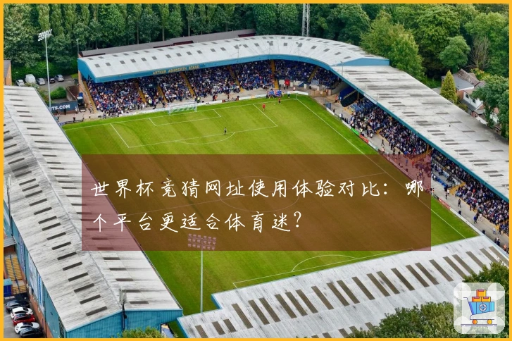 世界杯竞猜网址使用体验对比：哪个平台更适合体育迷？