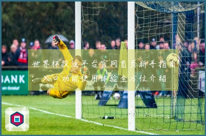 世界杯投注平台官网首页新手指南：入口功能使用体验全方位介绍