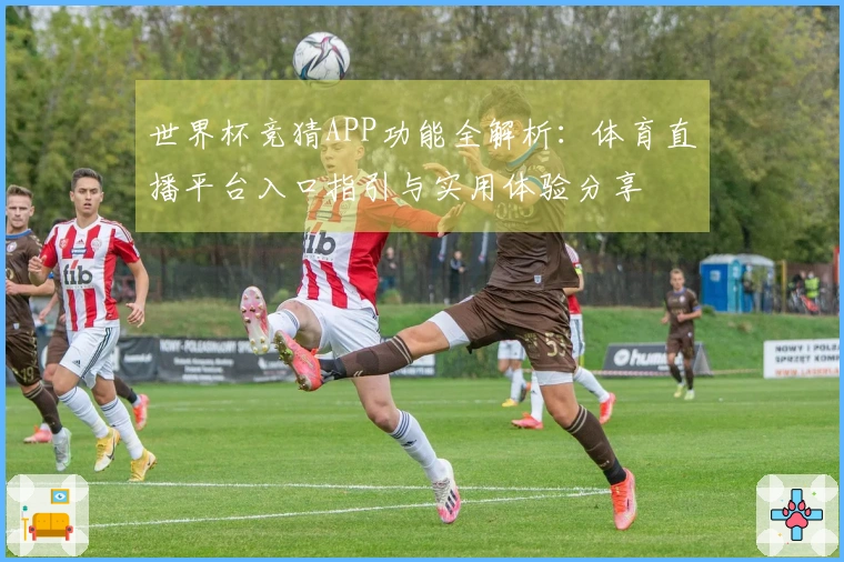 世界杯竞猜APP功能全解析：体育直播平台入口指引与实用体验分享