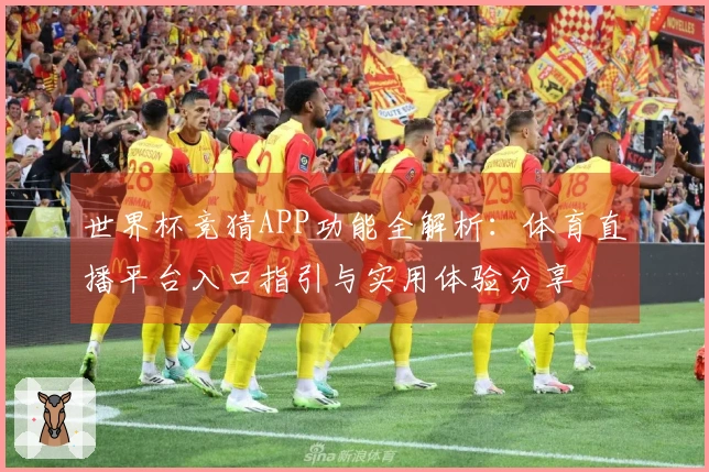 世界杯竞猜APP功能全解析：体育直播平台入口指引与实用体验分享