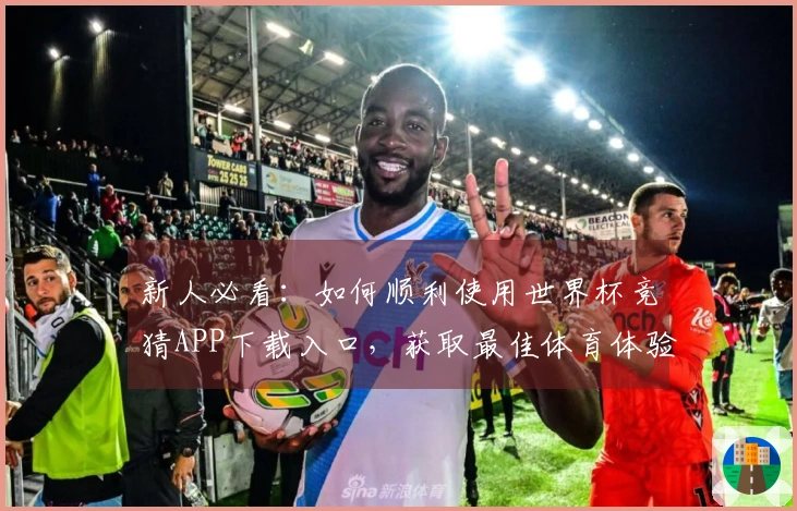 新人必看：如何顺利使用世界杯竞猜APP下载入口，获取最佳体育体验