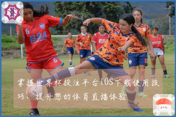 掌握世界杯投注平台iOS下载使用技巧，提升您的体育直播体验
