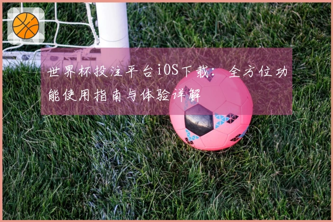 世界杯投注平台iOS下载：全方位功能使用指南与体验详解